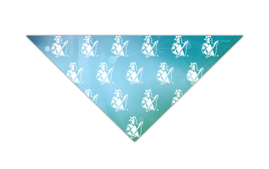 Picture of Pet Bandanna